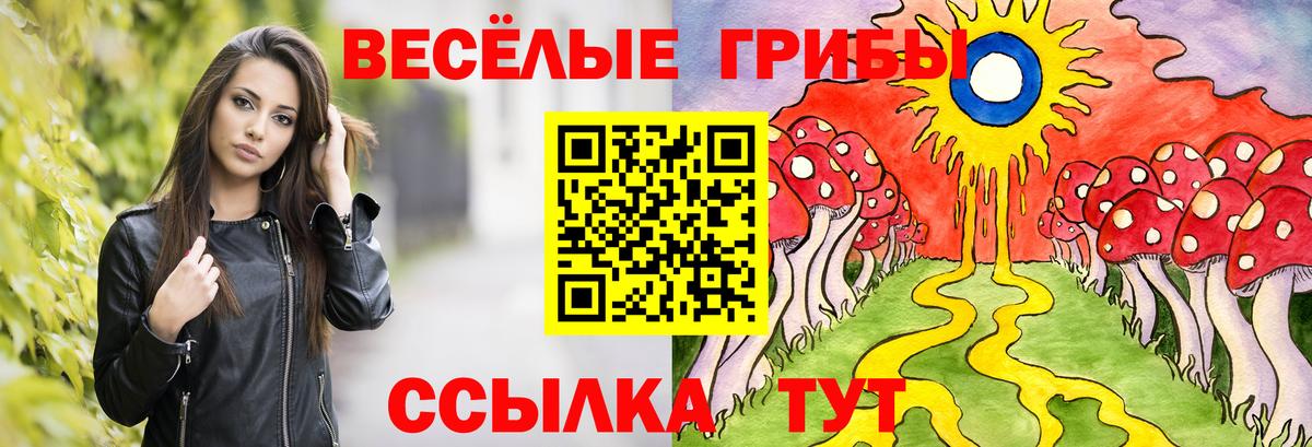 Шелехов  Псилоцибиновые грибы мухоморы  Вход с VPN  Псилоцибиновые грибы Magic Shrooms 