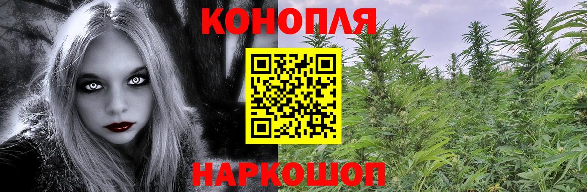Бошки Шишки AK-47  Конопля конопля  Бошки марихуана OG Kush  Вход с VPN  Шелехов 